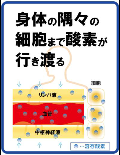 身体の隅々の細胞まで酸素が行き渡る